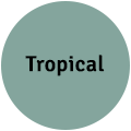 Tropical