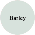 Barley