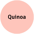 Quinoa