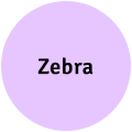 Zebra