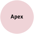 Apex