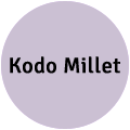 Kodo Millet