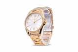 Michael Kors Whitney Gold-Tone Crystal Ladies Watch MK6693