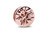 Pandora - Sparkling Family Tree Clip Charm - 788822C01 Pandora - Sparkling Family Tree Clip Charm - 788822C01