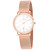 Christian Van Sant Paradigm Ladies Watch CV4222 Christian Van Sant Paradigm Ladies Watch CV4222