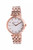 Emporio Armani Rose Gold-Tone Ladies Watch AR11415 Emporio Armani Rose Gold-Tone Ladies Watch AR11415