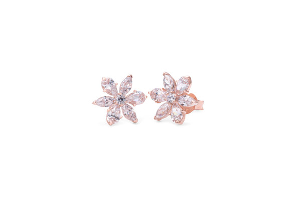 Pandora Sparkling Herbarium Cluster Stud Earrings 282407C01