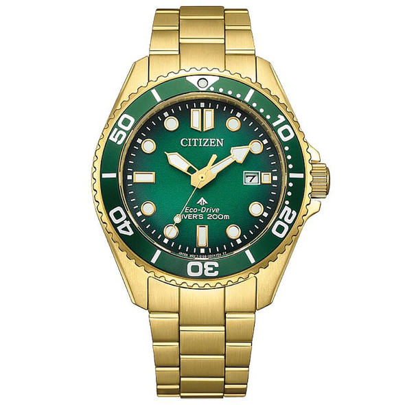 Citizen Eco-Drive Promaster Dive Mens Watch BN0262-59W