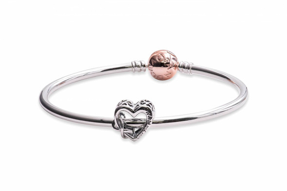 Pandora My Whole Heart Bangle Gift Set B801531-19