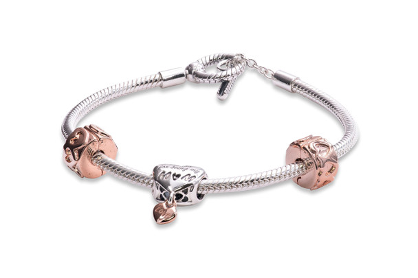 Pandora Moms Love Bracelet Gift Set B801530-19 Pandora Moms Love Bracelet Gift Set B801530-19
