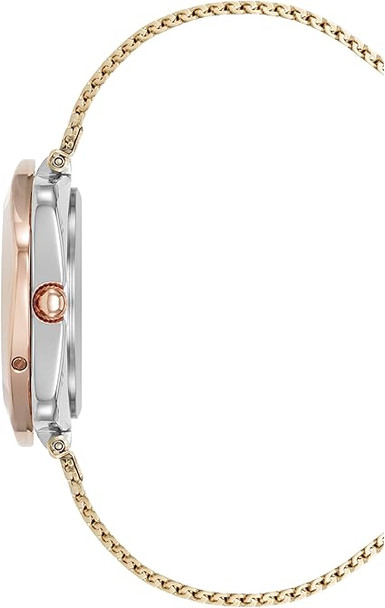 Anne Klein Ladies Watch AK/5163SVTR