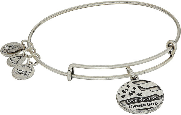 Alex and Ani One Nation Bangle A13EB36RS