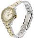 Fossil Mini Cecile Ladies Watch AM4579