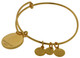 Alex and Ani U.S. Coast Guard Charm Bangle - AS16USCGYG