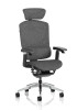 Ergo Click Plus High Back Ergonomic Posture Office Chair