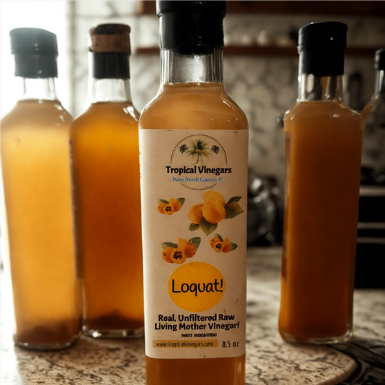 Loquat Raw Living Mother Vinegar