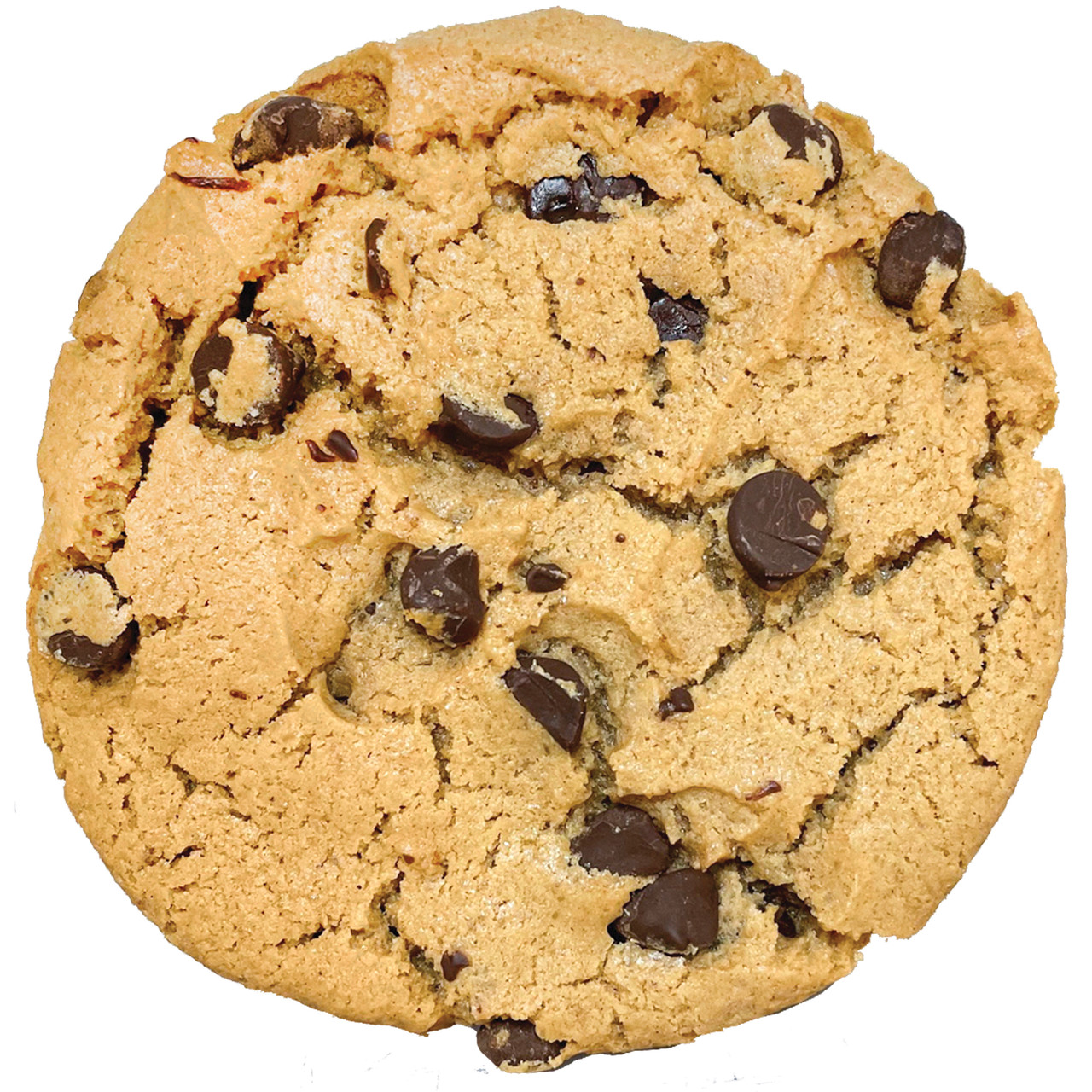 CHOCOCHIP COOKIE ブラウス Gluten Free Chocolate Chip Cookie