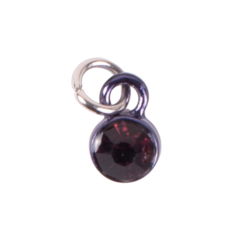 February Birthstone Charm outdoor February Birthstone Charm outdoor