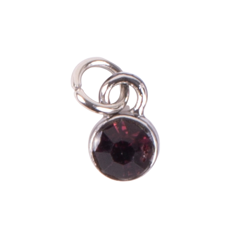 February Birthstone Charm indoor February Birthstone Charm indoor