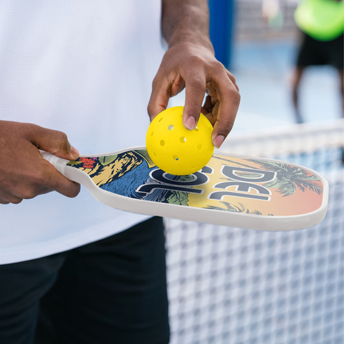 Pickleball Set - Color-Changing Set of 2 Pickleball Paddles and Balls