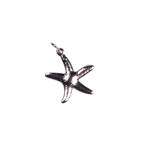 Starfish Charm indoor