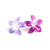 plumeria 2 pack hair clips outdoor