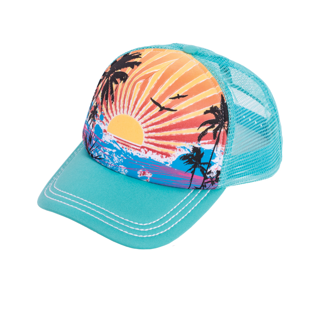 3J880PSR_TrckrHt_PlmSunrise_Te