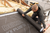 Delta-XX Plus Universal spinvlies damp-open folie 1.5x50m1 (=75m²)