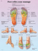 Anatomical Chart - foot massage, reflex zone, laminated