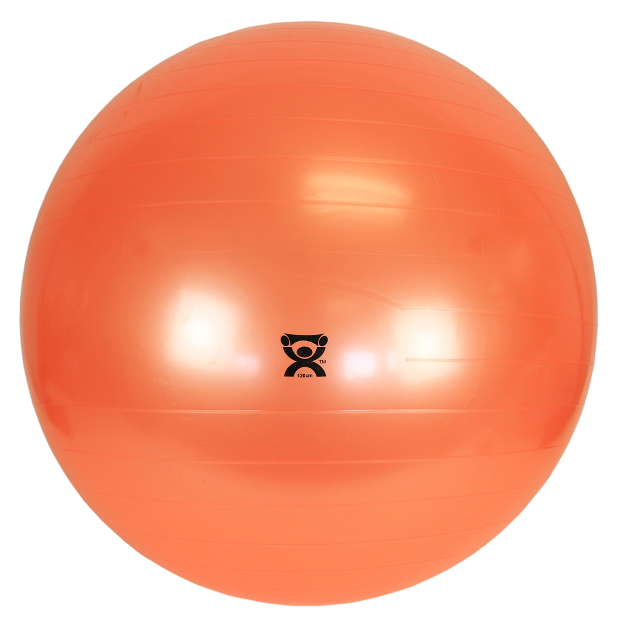 inflatable exercise ball