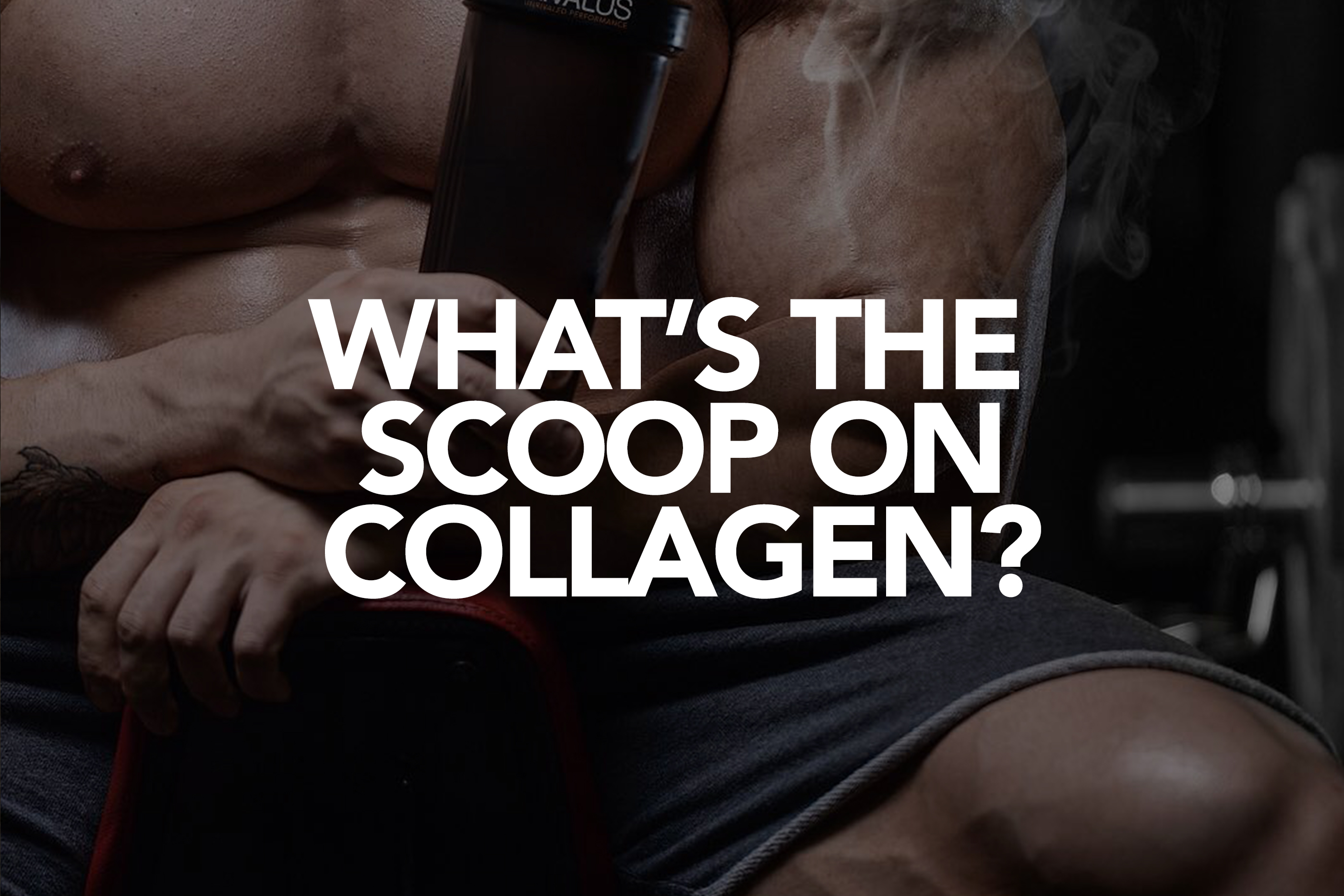 THE SCOOP ON COLLAGEN