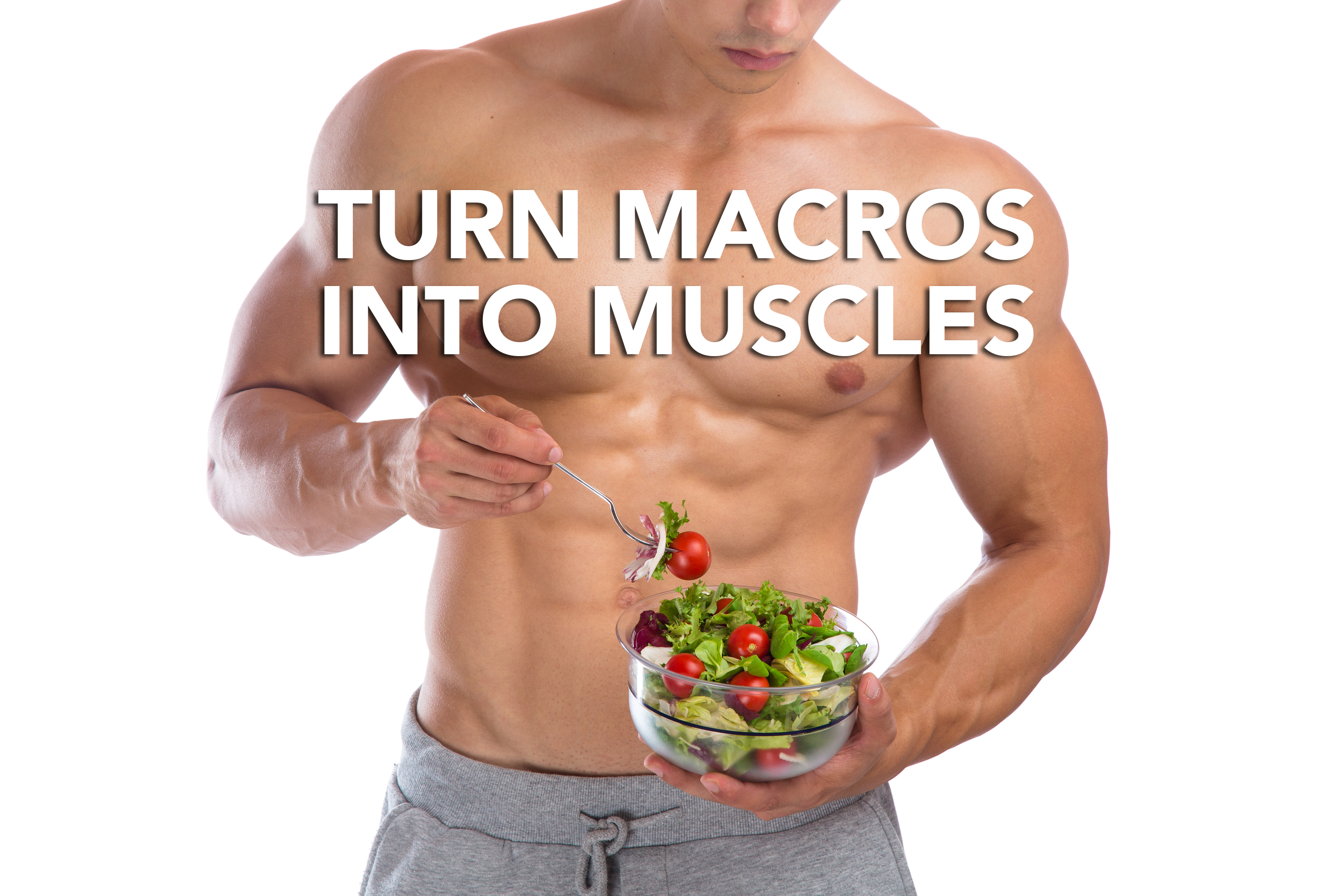 Turn Macros Into Muscles