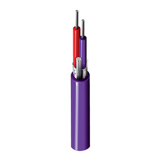 1101A - Type EX Thermocouple, 1 Pr #16 Sol, PVC Ins Pur, Red, OS, Purple PVC Jkt, 300V PLTC ITC CMG