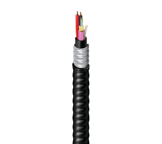 HD4D0060218FJ - Indoor/Outdoor Armored Hybrid Copper-Fiber Cable, OM4, 6 Distribution Fibers, #18-2c, CMR-OF