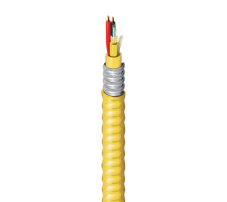 HISD0060216FJ - Indoor Armored Hybrid Copper-Fiber Cable, OS2, 6 Distribution Fibers, #16-2c, CMR-OF