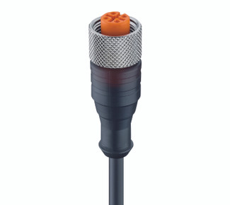 RKT/LED A 4-3-224 - M12 Standard Sensor/Actuator Single-Ended Cordset: Female, straight, 4-pin, A-coded, translucent body, 10-30 V DC, 4 A, with 2xLEDs (PNP); PUR black cable, 3-wires, 0.34 mm²