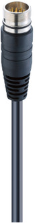 RSUF 12-256 - M23 Power Single-Ended Cordset: Male, straight, 12-pin, black body, 120 V AC/DC, 8 A; PUR black cable, 8x0.5 mm² + 3x1.0 mm²
