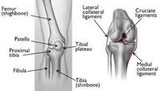 Tibial Plateau Fracture (TPF) sufferers, we have news for you!