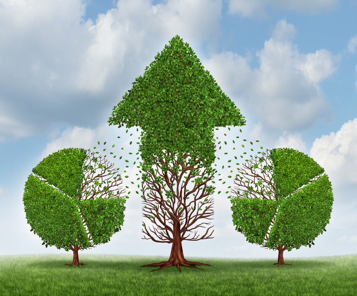 What Changed for CBD in 2026