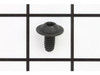 Screw .250-20x.500 P #099BD6