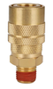 Quick Connect Coupler, 1/4" MPT x 1/4" Body #099BE6