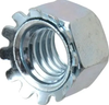 Flange Nut #099BC6