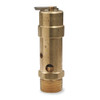 Safety Relief Valve 1-1/4" MPT, 125 PSI #116362
