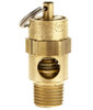 Safety Valve, 1/4" MPT, 110 PSI #116348