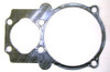 Cylinder Gasket, B5900 Pump #049440