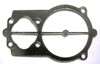 Head Gasket, B5900 Pump #04946A