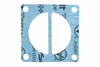 Head Gasket #05C324