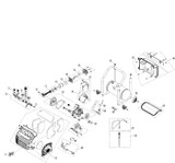 DWFP55130 - Type 1 #01A6B4