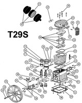 T29S