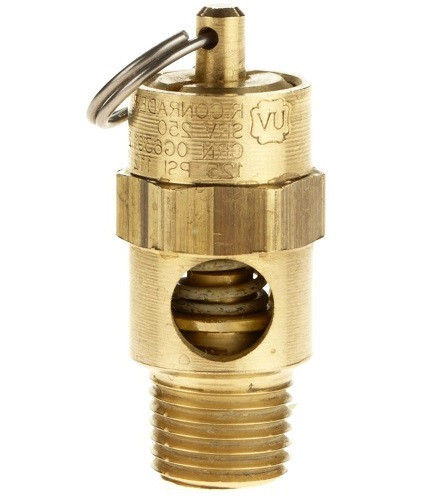 Safety Valve, 1/4" MPT, 110 PSI #116348